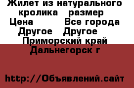 Жилет из натурального кролика,44размер › Цена ­ 500 - Все города Другое » Другое   . Приморский край,Дальнегорск г.